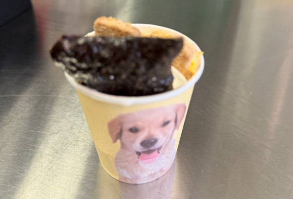 Pup Cup