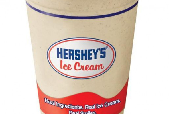 Premium Milkshake
